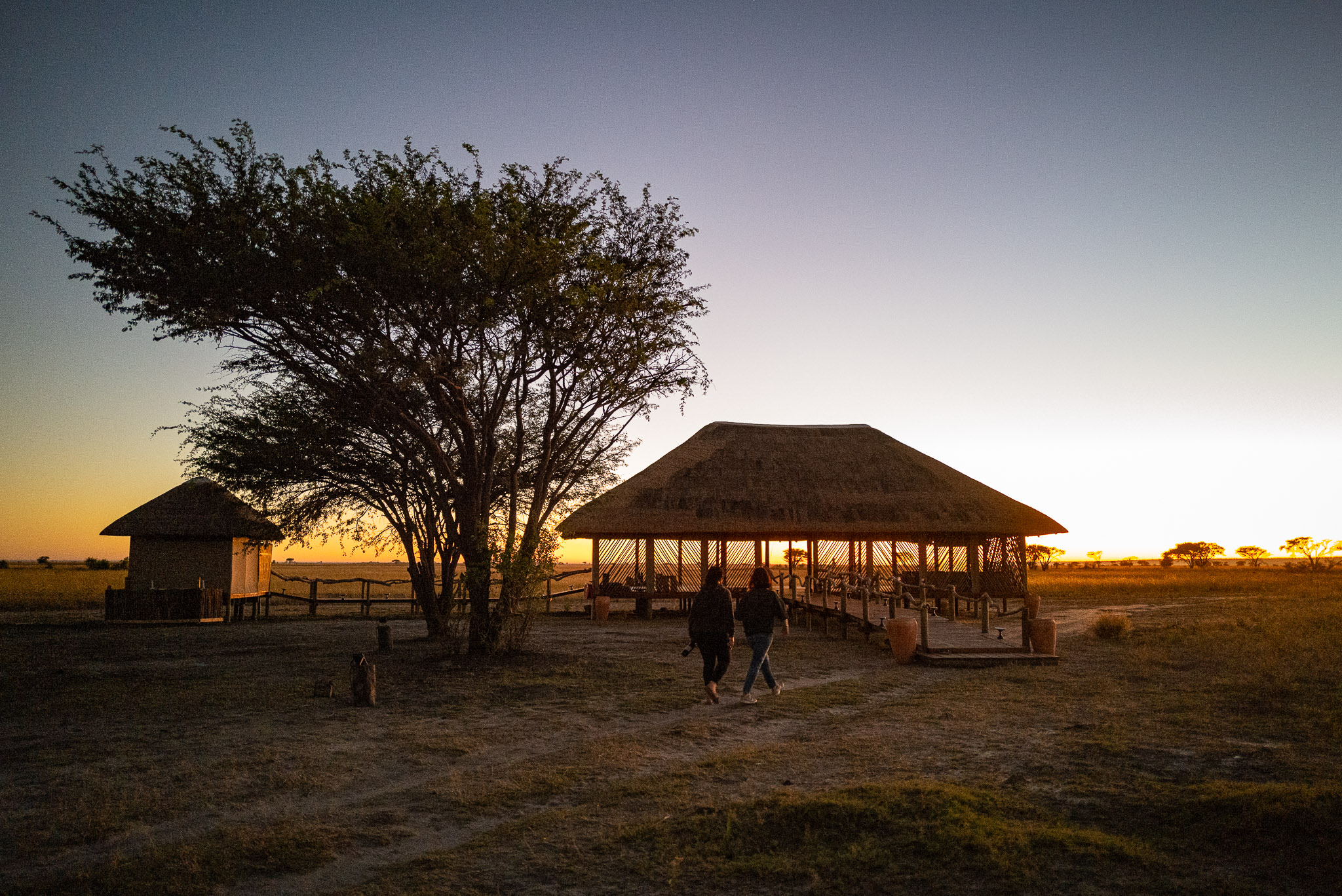 Featured image for “Yoga Safari Retreat i Botswana”